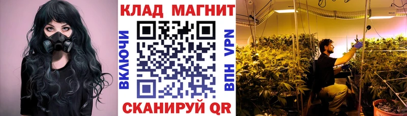 Как найти закладки Уссурийск Амфетамин  Альфа ПВП  Бутират  OMG ССЫЛКА  ГАШИШ  Лсд 25  Мефедрон  Конопля 