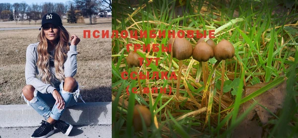 дурь Лиски