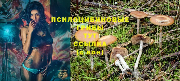 спиды Алексин