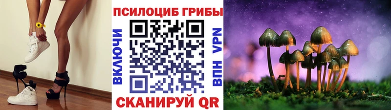 Псилоцибиновые грибы GOLDEN TEACHER  купить наркотики сайты  Уссурийск 